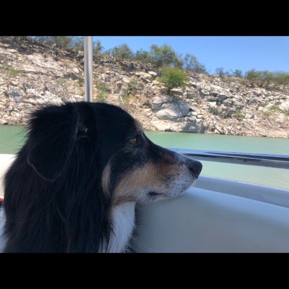 Meet your Posher, Stacy - Picture 1 of 1